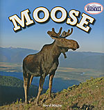 Moose