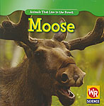Moose